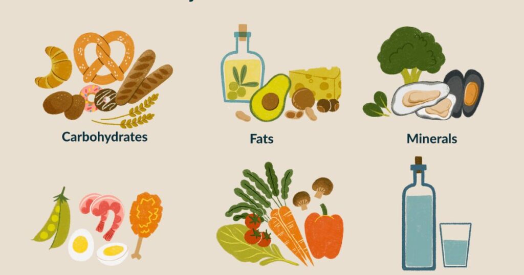 Feeding Your Froodle: Diet and Nutrition Guide