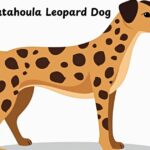 Catahoula Leopard Dog: Complete Breed Guide, Traits & Care Tips [2025]